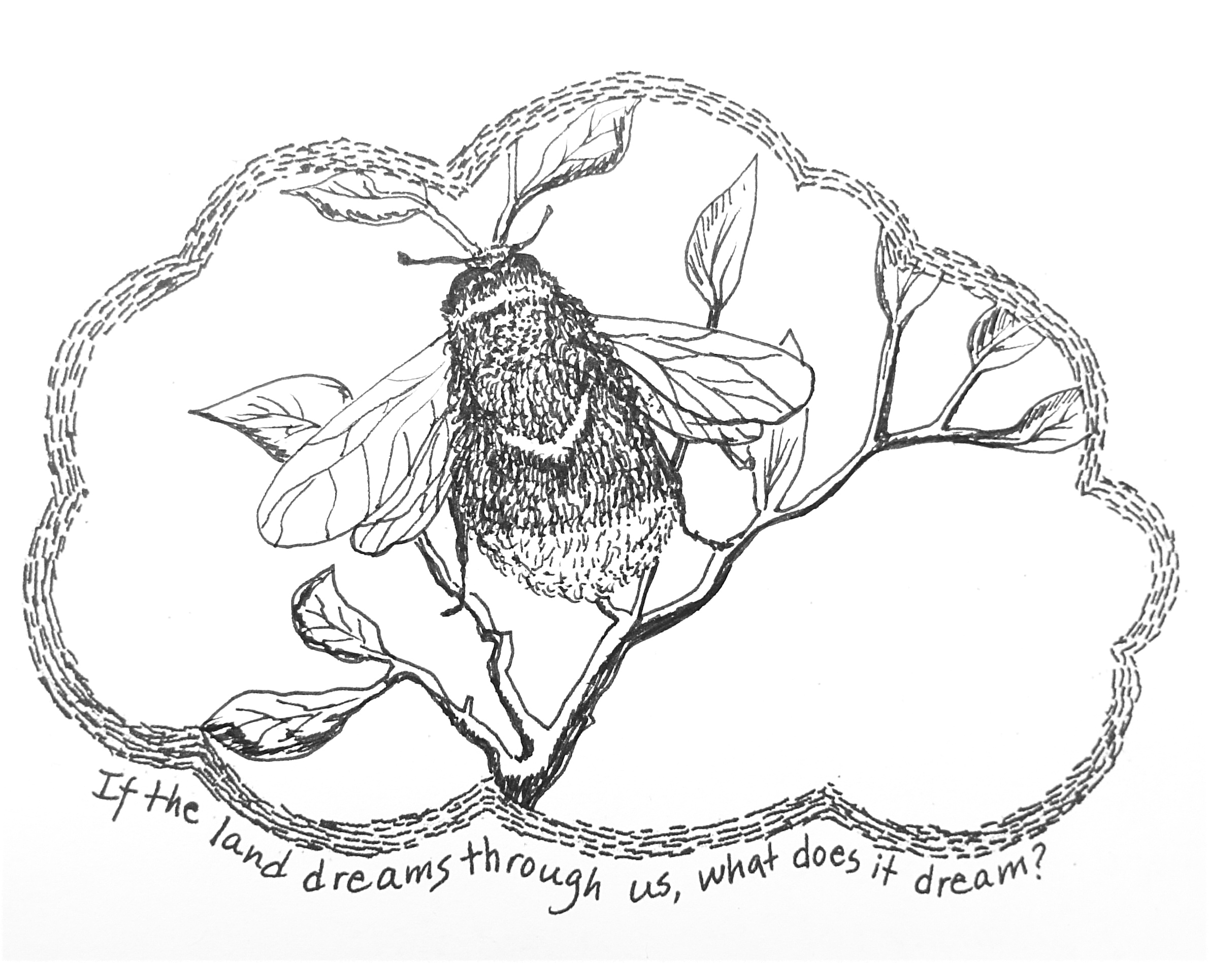 2381x1897 Drawing Dreaming Place