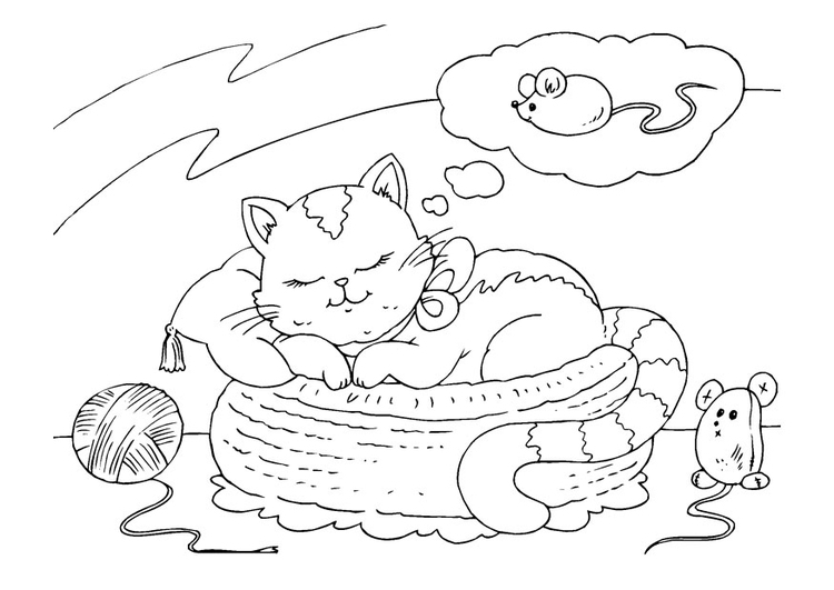 750x531 Coloring Page Dreaming Cat