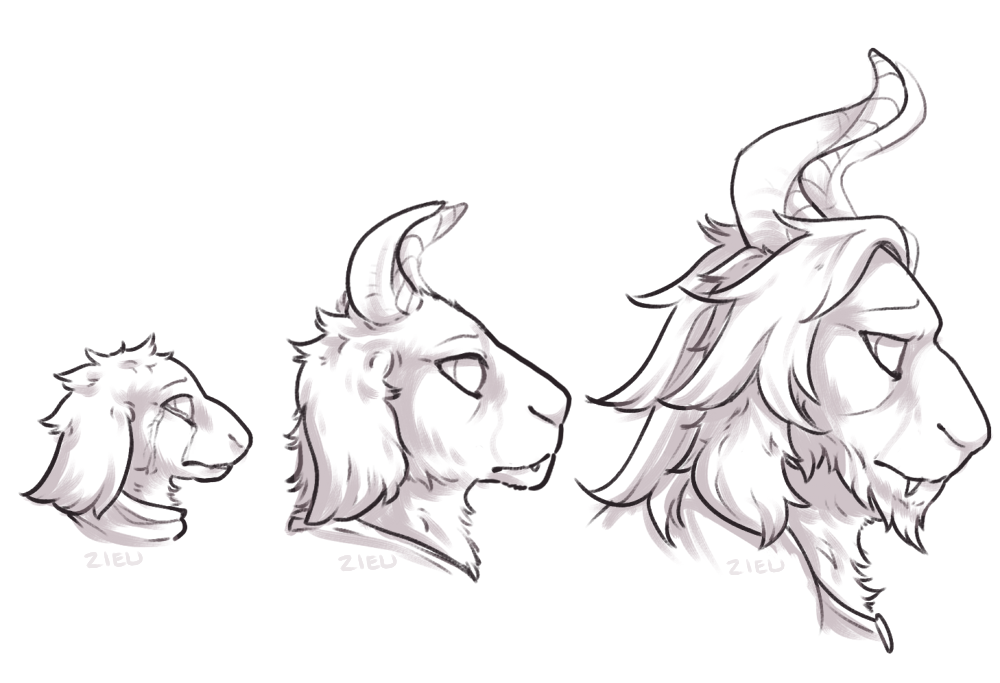 1000x683 Hopes And Dreams By Zieu