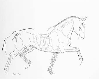 340x270 Horse Sketch Etsy