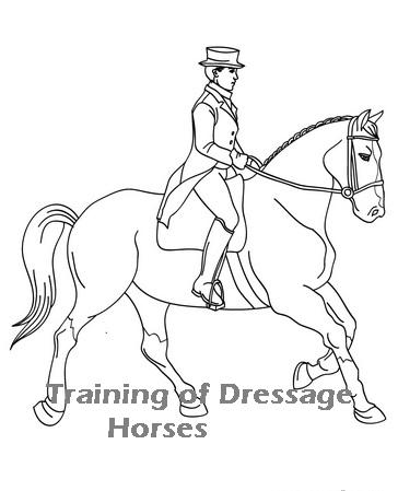 364x449 Olympic Equestrian Dressage Tickets Training Of Dressage Horses