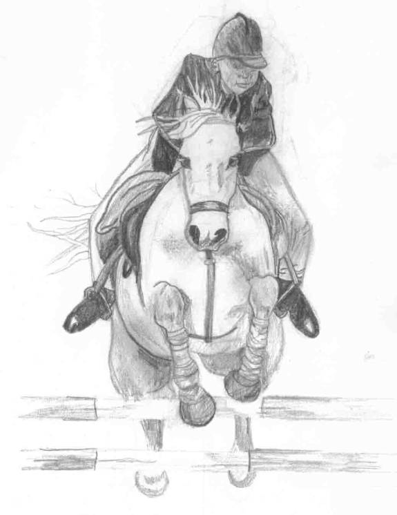 575x746 Drawing Of A Horse For Ideas. Horse Drawings Horse