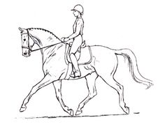 236x182 Dressage Horse Coloring Pages Friesians Dressage