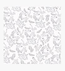 210x230 Driftwood Drawing Photographic Prints Redbubble