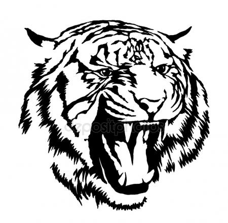 450x439 Driftwood Forest Ink Drawing Stock Photo Goldenshrimp