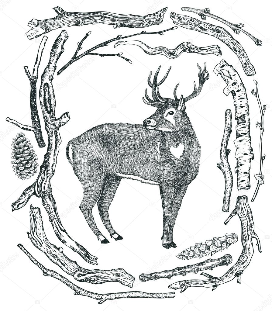 895x1023 December Deer In A Winter Forest Frame Of Driftwood Wild Wild Wo