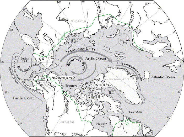 702x522 Deciphering The Impact Of Change On The Driftwood Cycle
