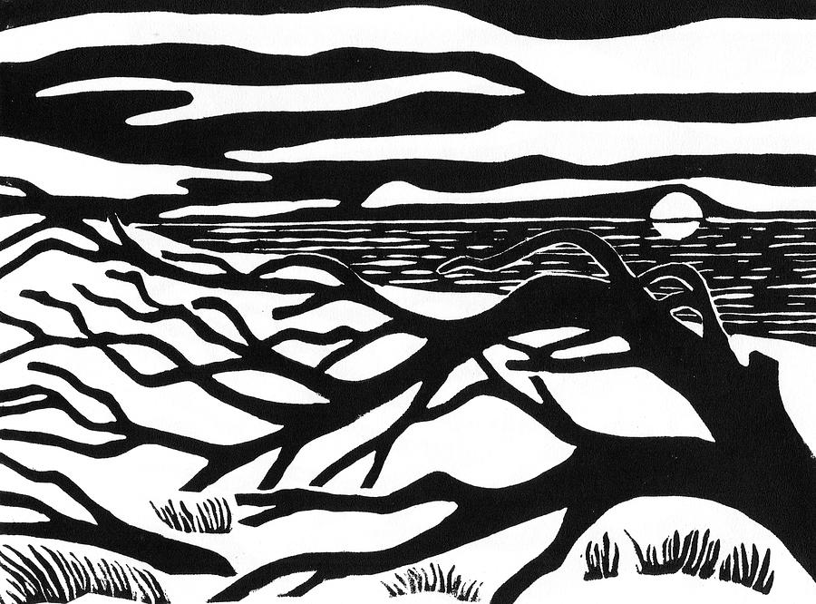 900x666 Driftwood Beach Sunrise Drawing By Ed Einboden