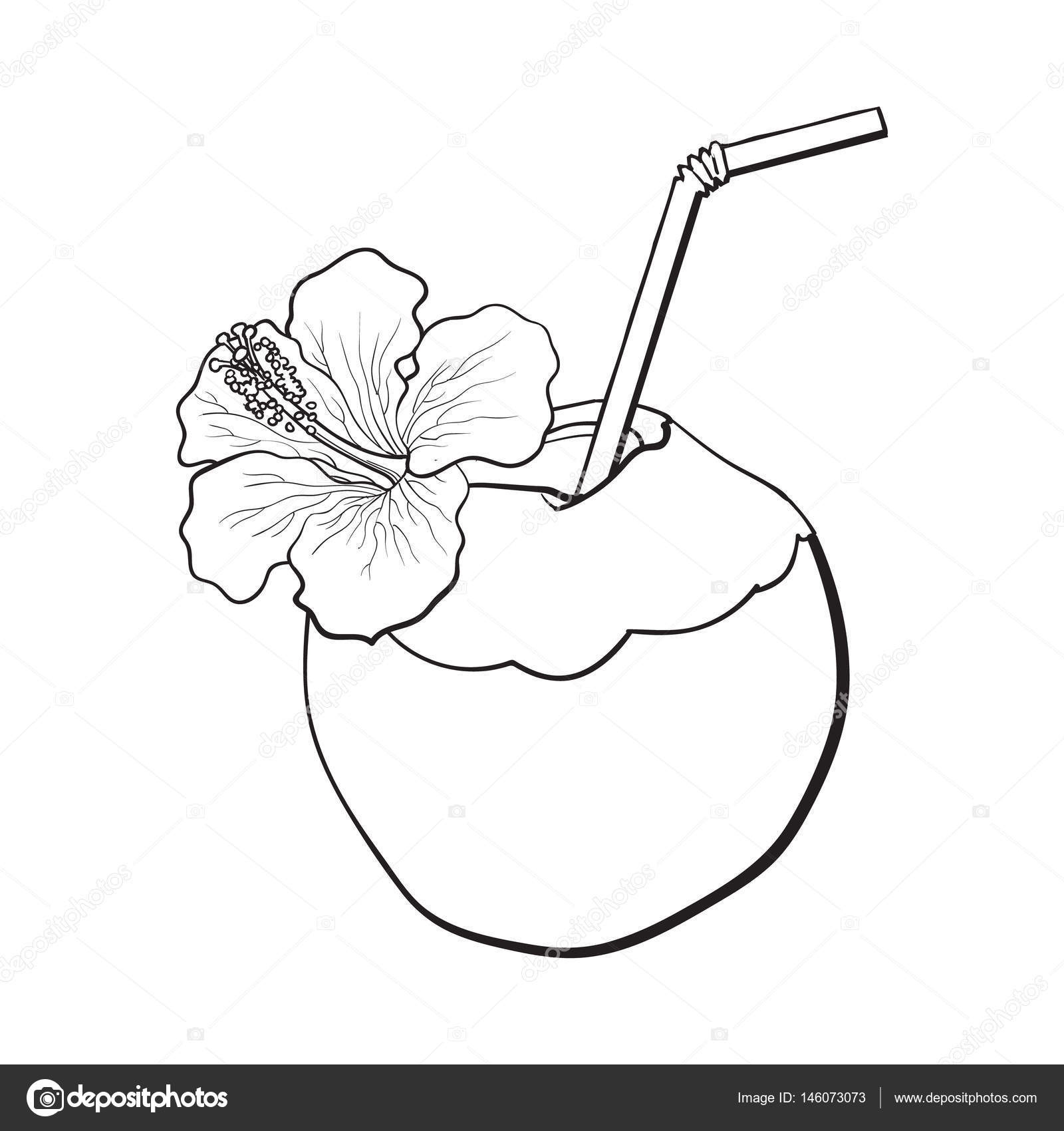 1600x1700 Coconut Cocktail, Drink Decorated With Hibiscus Flower, Summer