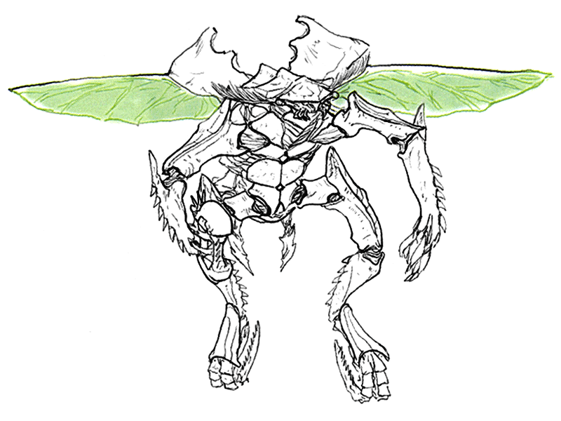 800x600 Drone Sketch