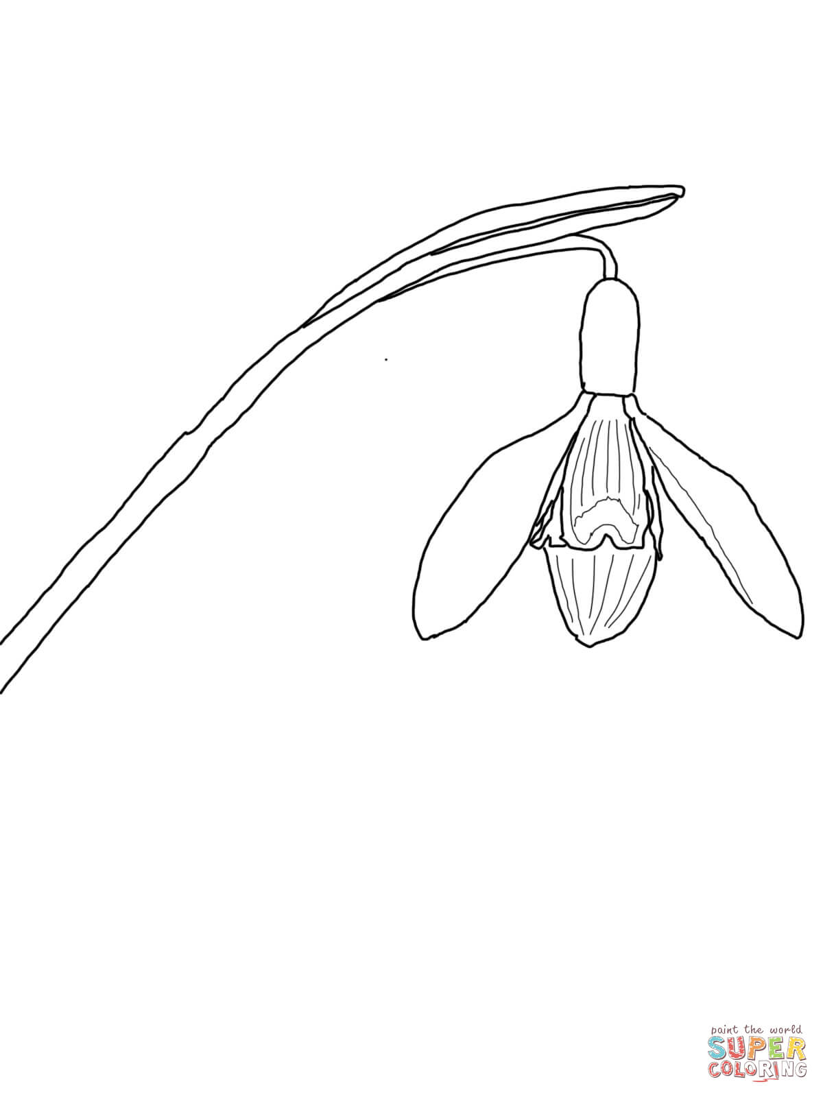 1200x1600 Snowdrops Coloring Pages Free Coloring Pages