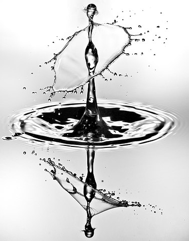 377x479 Filetray Drop Two (7180430356).jpg