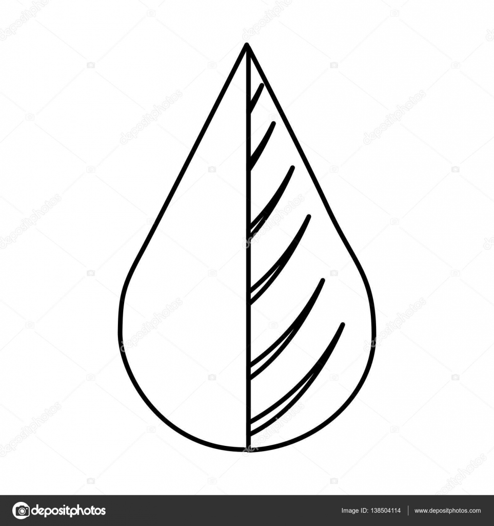 963x1024 Water Drop And Leaf Plant Stock Vector Yupiramos