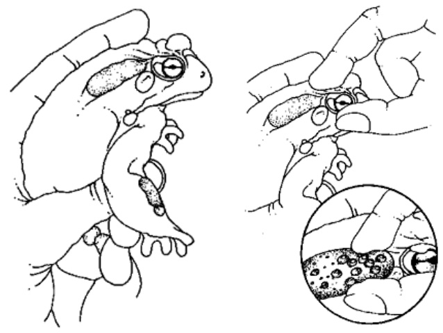 638x479 Drug Addiction 2