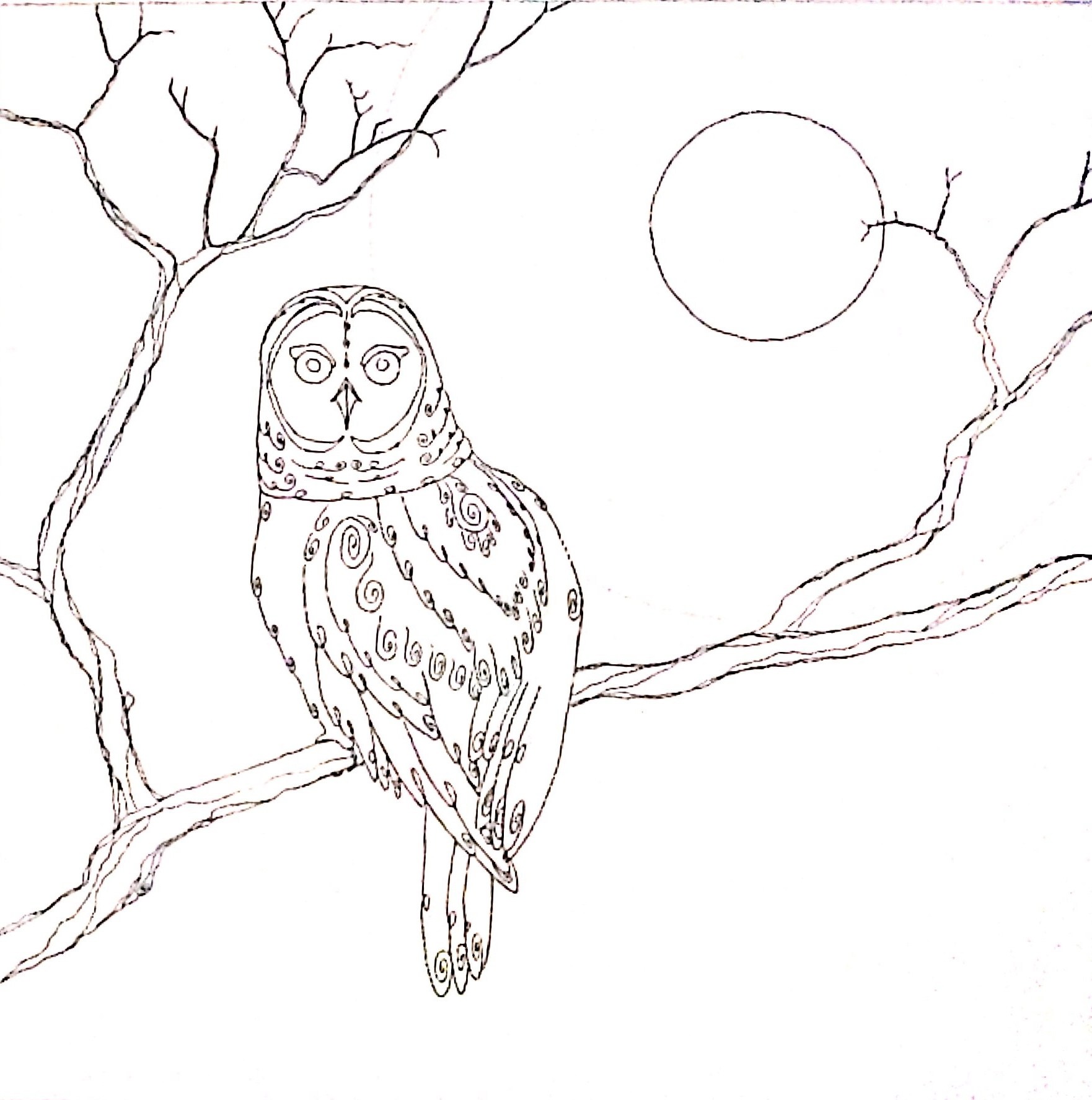 1762x1775 Drawing For Oak Moon Drum