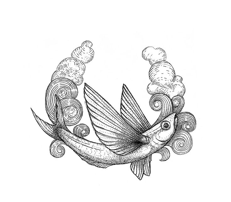 736x645 23 Best Our Drawings Images On Rabbit Tattoos, White