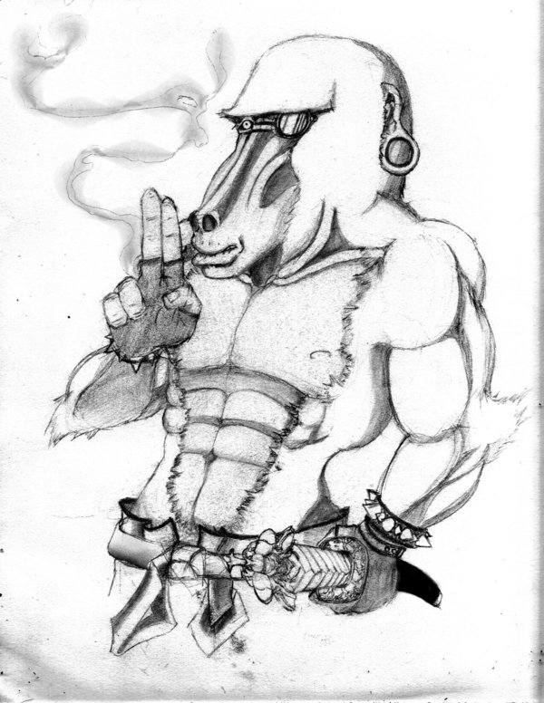 600x776 Solder Of The Hidden Leaf By A Drunk Baboon