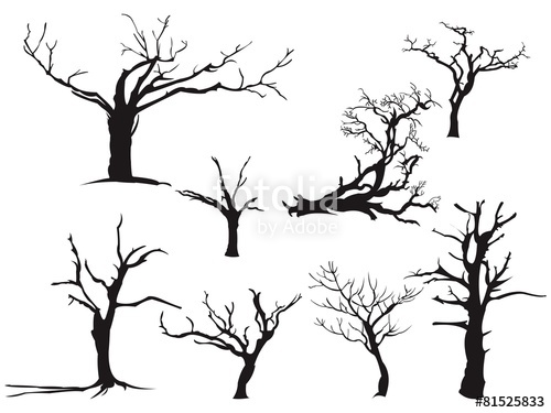 500x375 Dry Tree