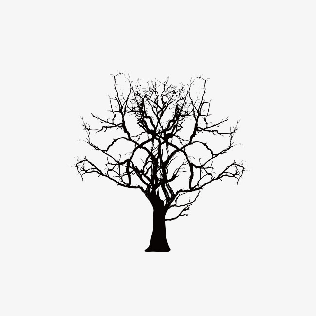 650x651 Dry Tree Top, Vector Diagram, Dead Tree Png And Vector For Free