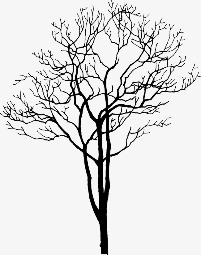 650x825 Dry Trees, Trees, Park, Withered Png Image For Free Download