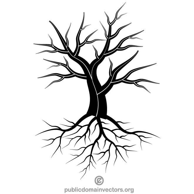 660x660 Silhouette Of A Dry Tree