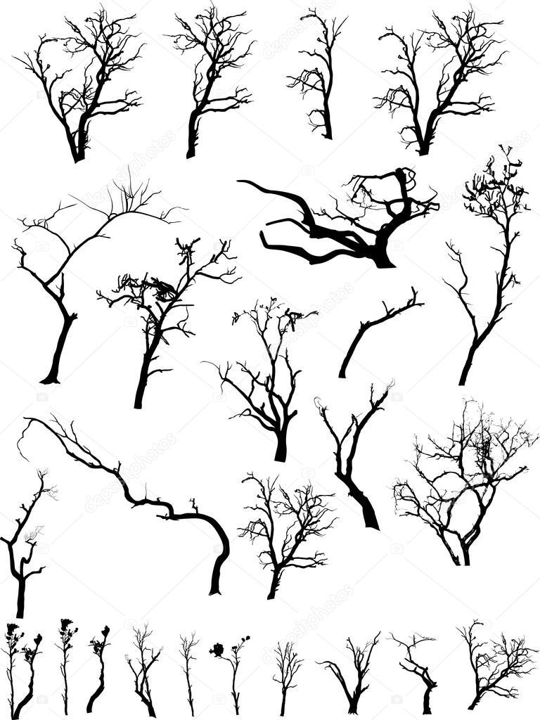 768x1024 Scary Dead Trees Silhouettes Collection Stock Vector Baavli