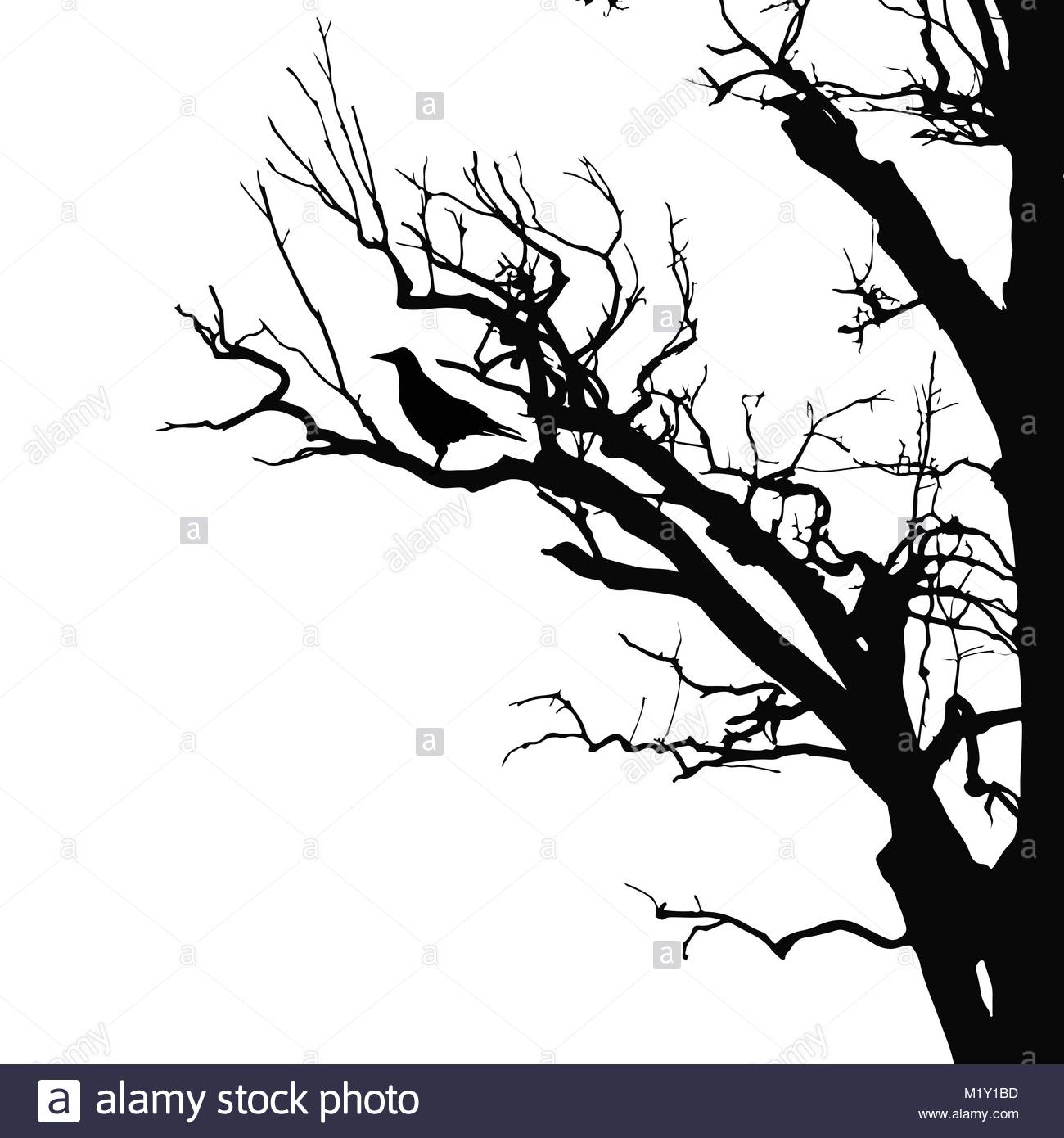 1300x1390 Realistic Vector Silhouette Of Sitting Raven On Dry Tree Branch