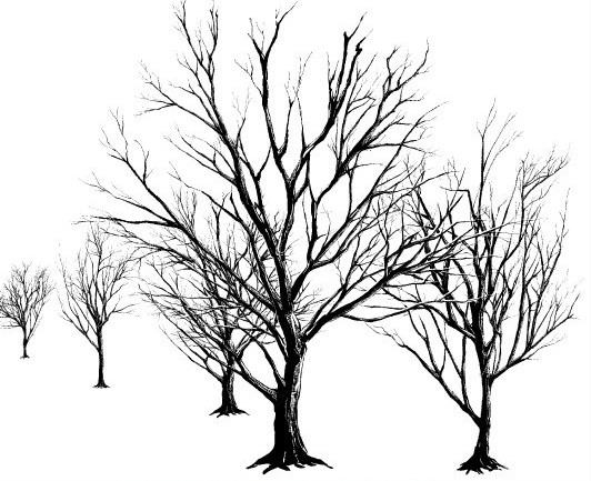 532x433 Dead Tree (Black) Brush Manga Materials