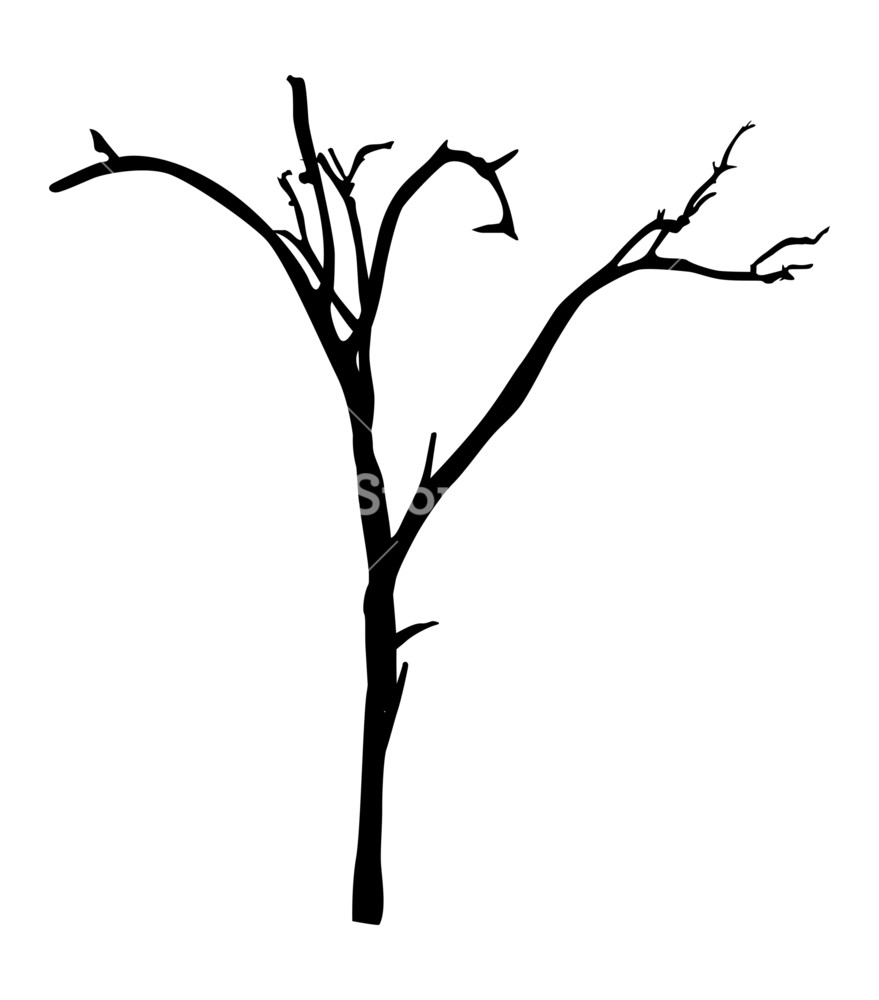 879x1000 Dead Tree Branches Shape Royalty Free Stock Image