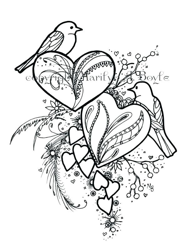 618x795 Camera Coloring Pages