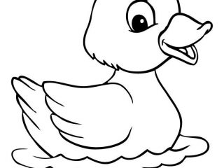 320x240 Cartoon For Painting Best 25 Duck Cartoon Ideas On Duck
