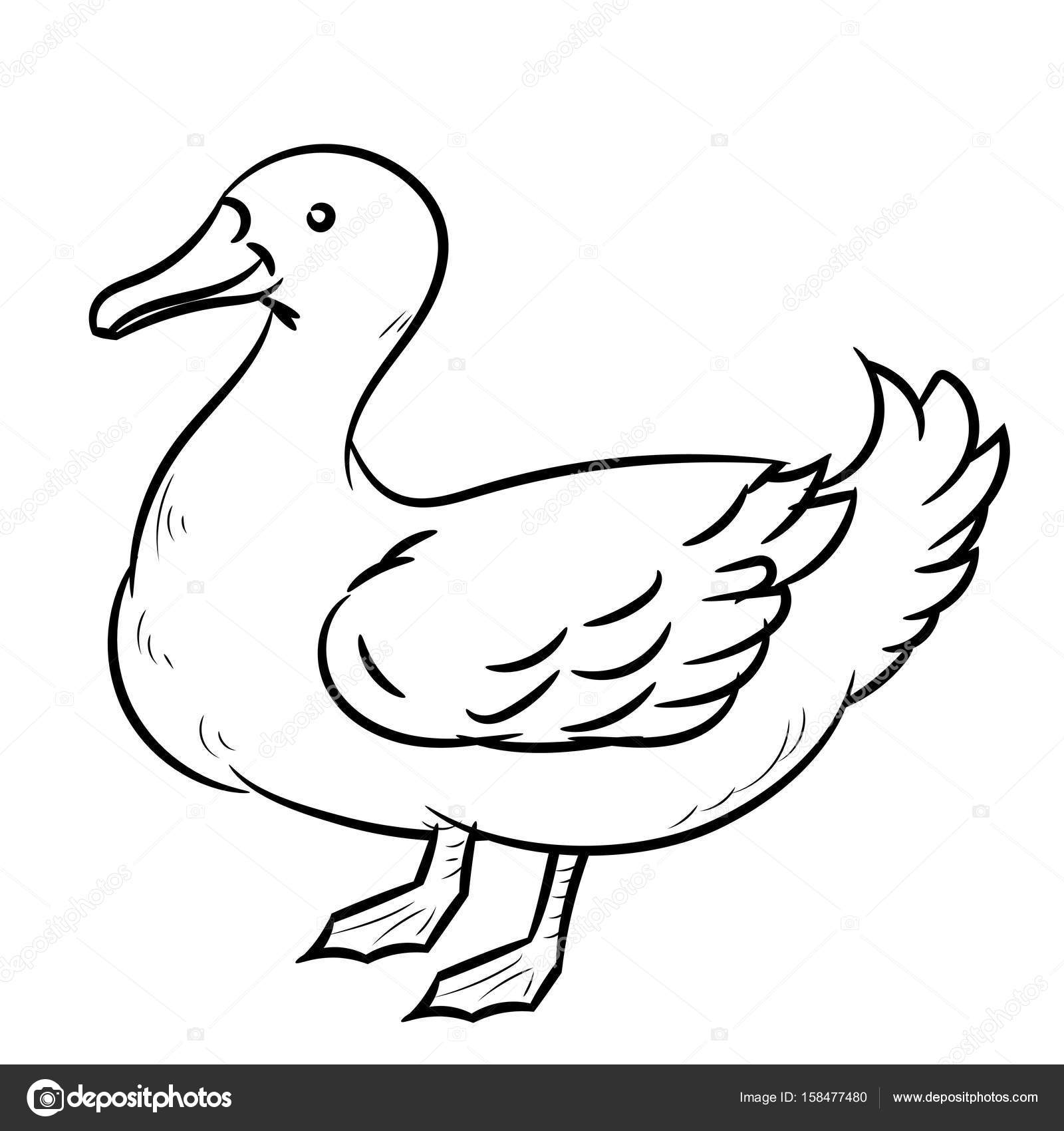 1600x1700 Line Drawing Of Duck Simple Line Vector Stock Vector