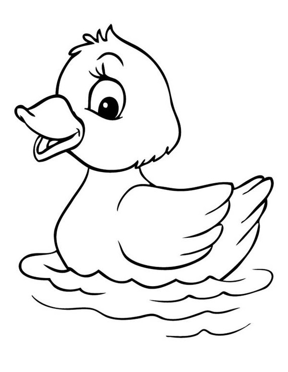570x737 Duck Drawing Cliparts