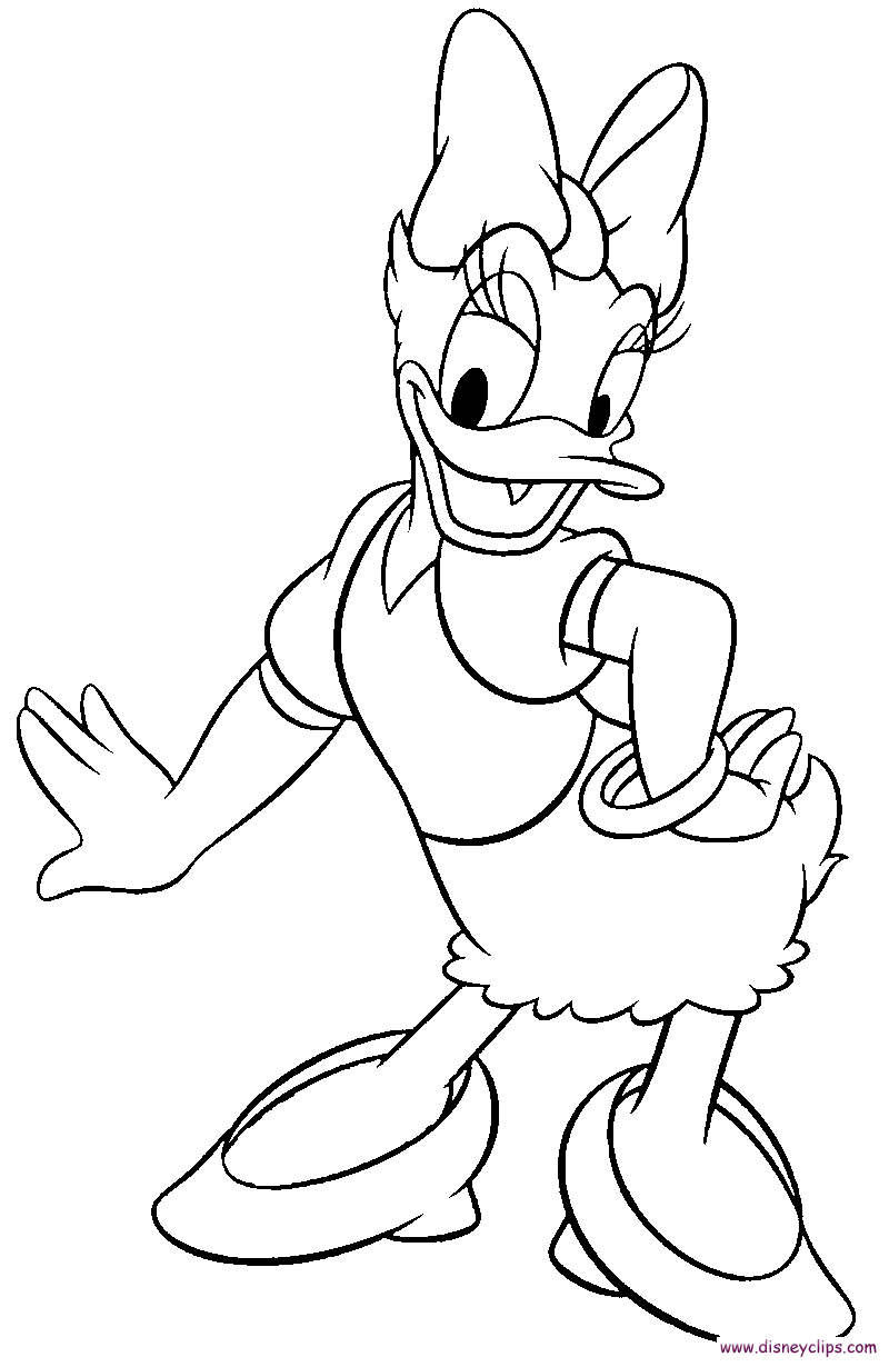 800x1230 Drawn Duck