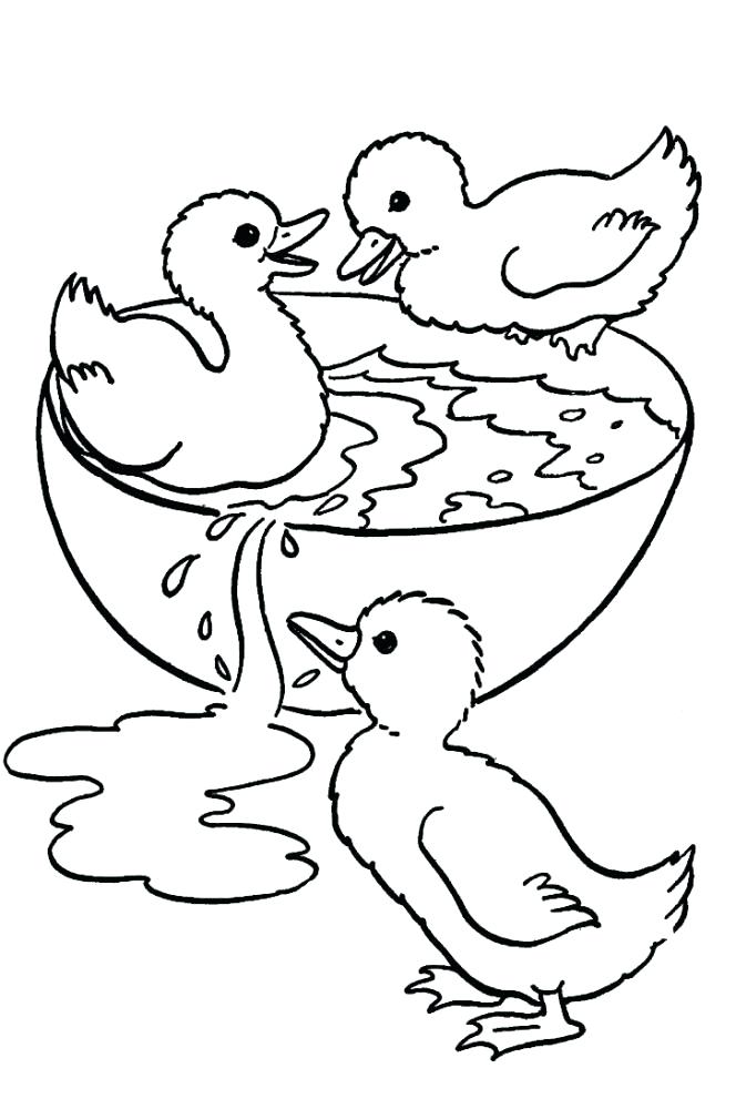 664x1000 Duck Coloring Book And Download Free Baby Duck Drawing Page 16