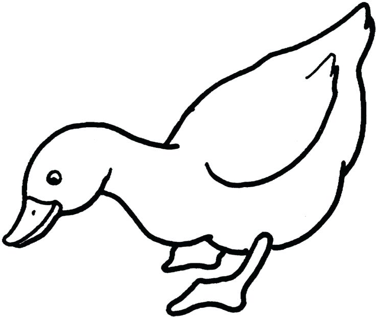 736x620 Coloring Pages Ducks Duck With Legs Wide Printable Coloring Pages
