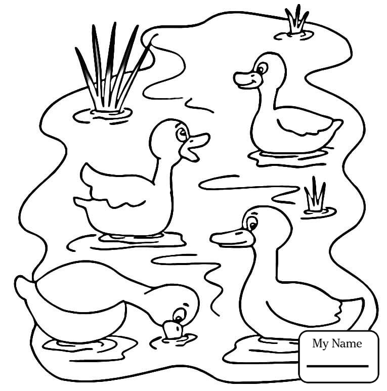 765x773 Birds Ducks Duck Bird Ducks Coloring Pages For Kids