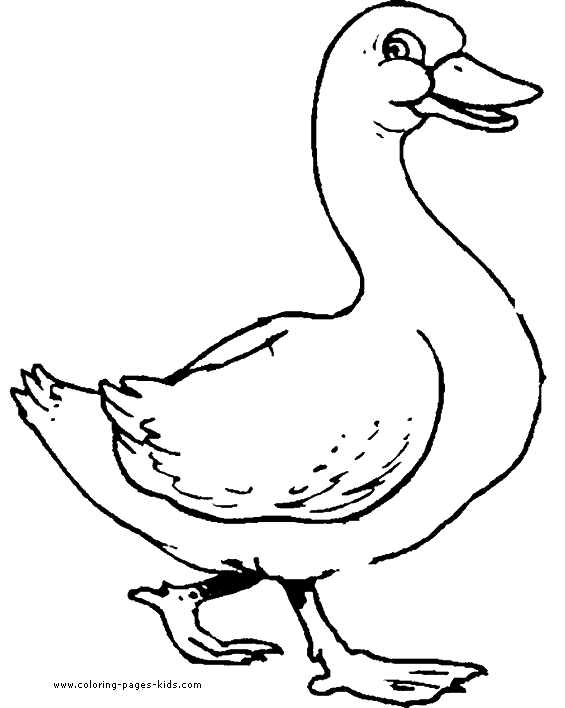 565x708 Free Coloring Pages Of Baby Birds In Nest Duck Walking Color