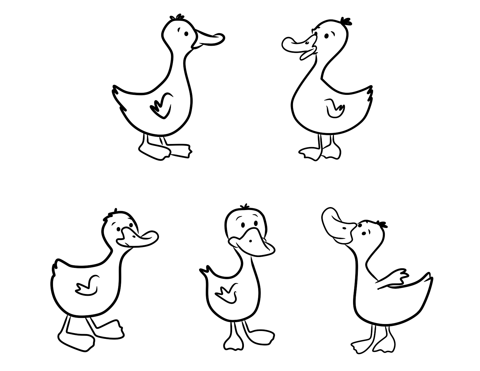 1584x1224 Duck