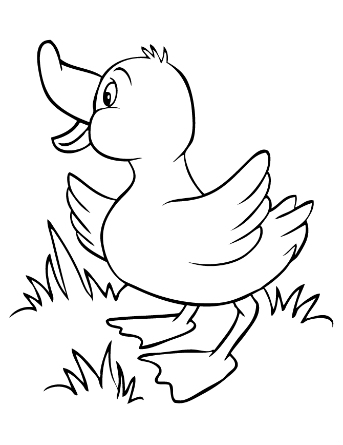 670x867 Duck Drawings For Kids 486619