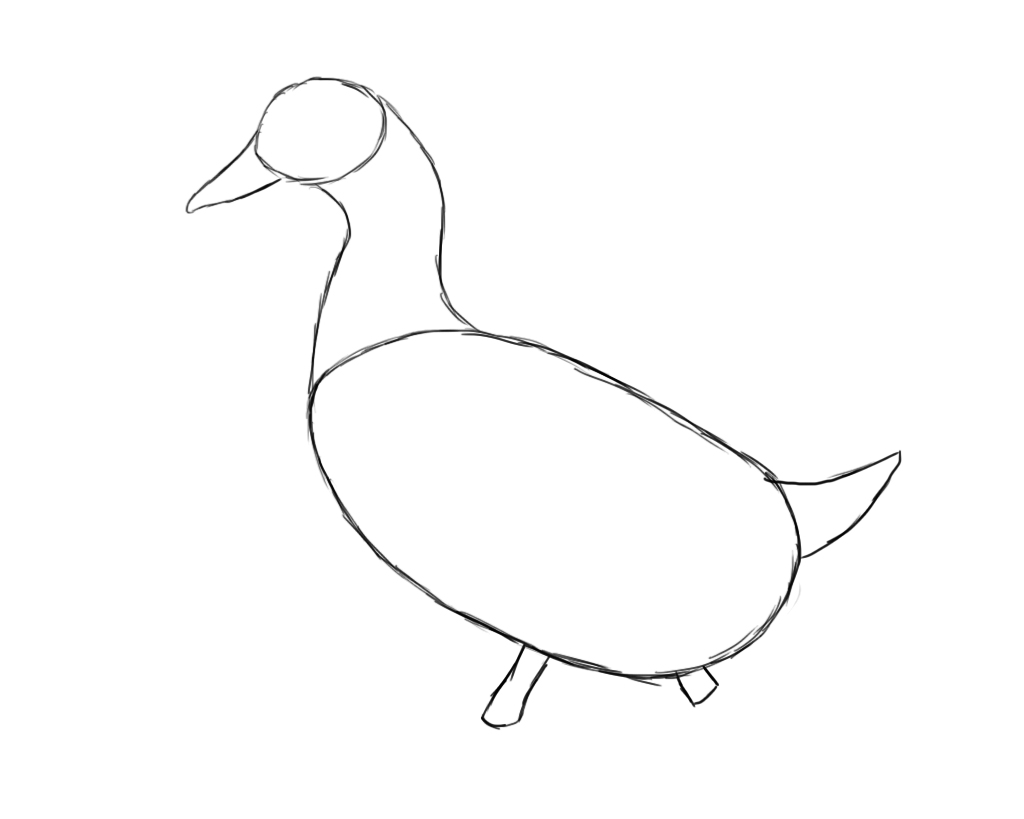 1024x819 How To Draw A Duck