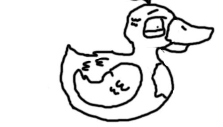 877x500 How To Draw A Duck Our Pastimes