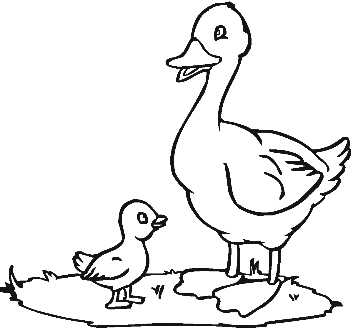 1200x1113 Coloring Pages Of Ducks Coloring Pages