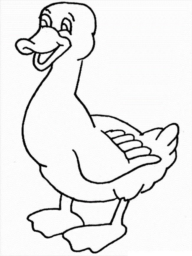 650x866 Duck Pictures To Color