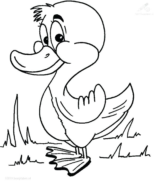 646x762 Full Page Printable Coloring Pages Duck Coloring Pages