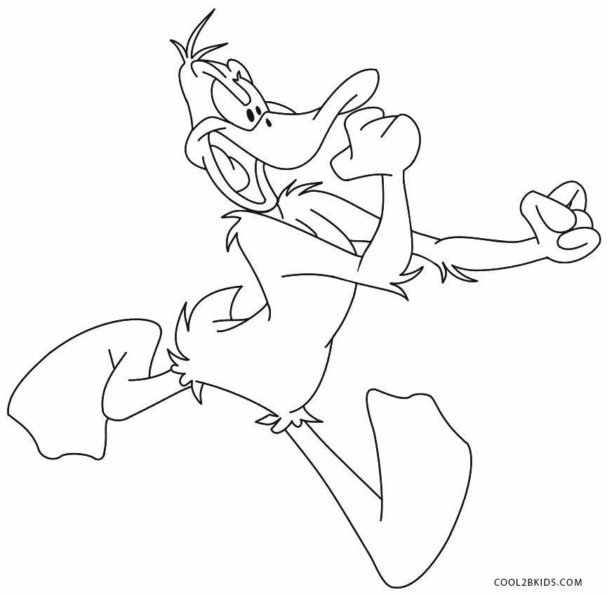 865x850 Printable Duck Coloring Pages For Kids Cool2bkids