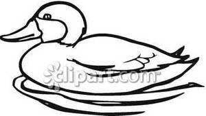300x169 Duck Outline