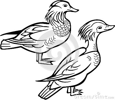 400x351 Mandarin Duck Clipart Duck Outline