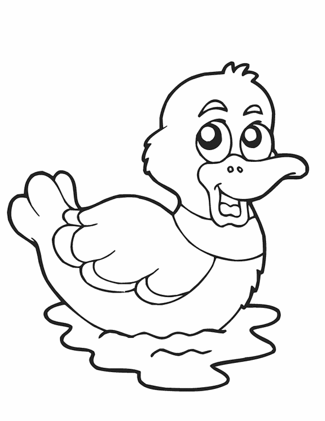 640x827 Outline Of A Duck 388927