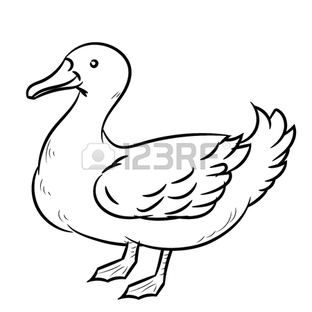 450x450 Hand Draw Sketch Goose Royalty Free Cliparts, Vectors, And Stock